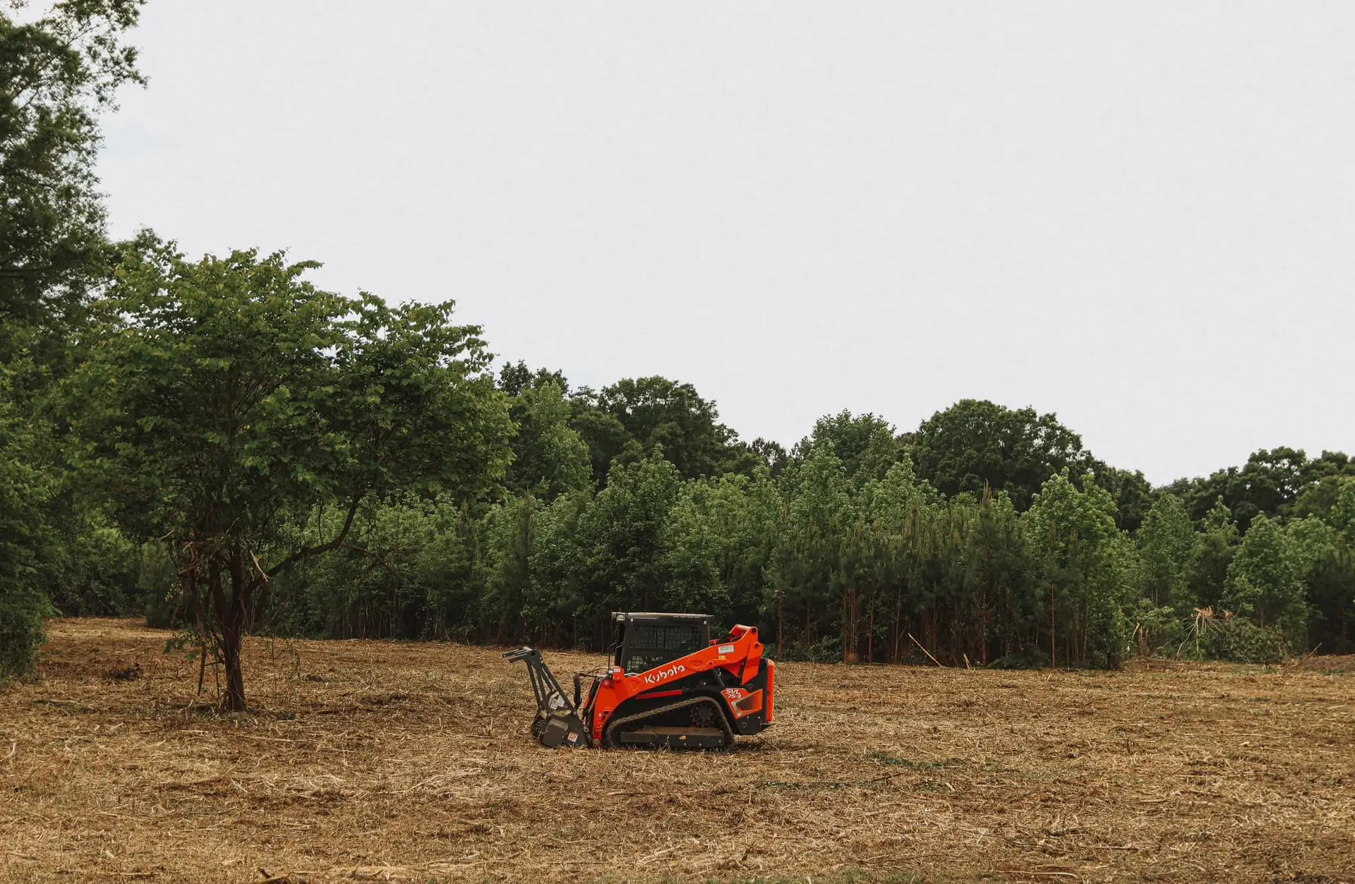 Forestry mulching clearing overgrown land in Upstate South Carolina - Agri Pro